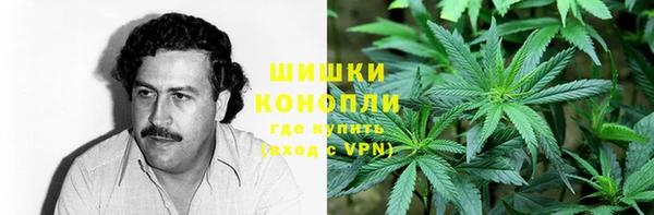ГАЛЛЮЦИНОГЕННЫЕ ГРИБЫ Абинск