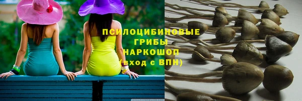 дмт Алексеевка