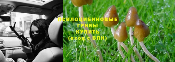 дмт Алексеевка