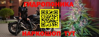 наркотики Краснодар