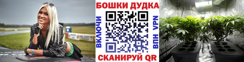 KRAKEN tor  Ковров  МАРИХУАНА семена 