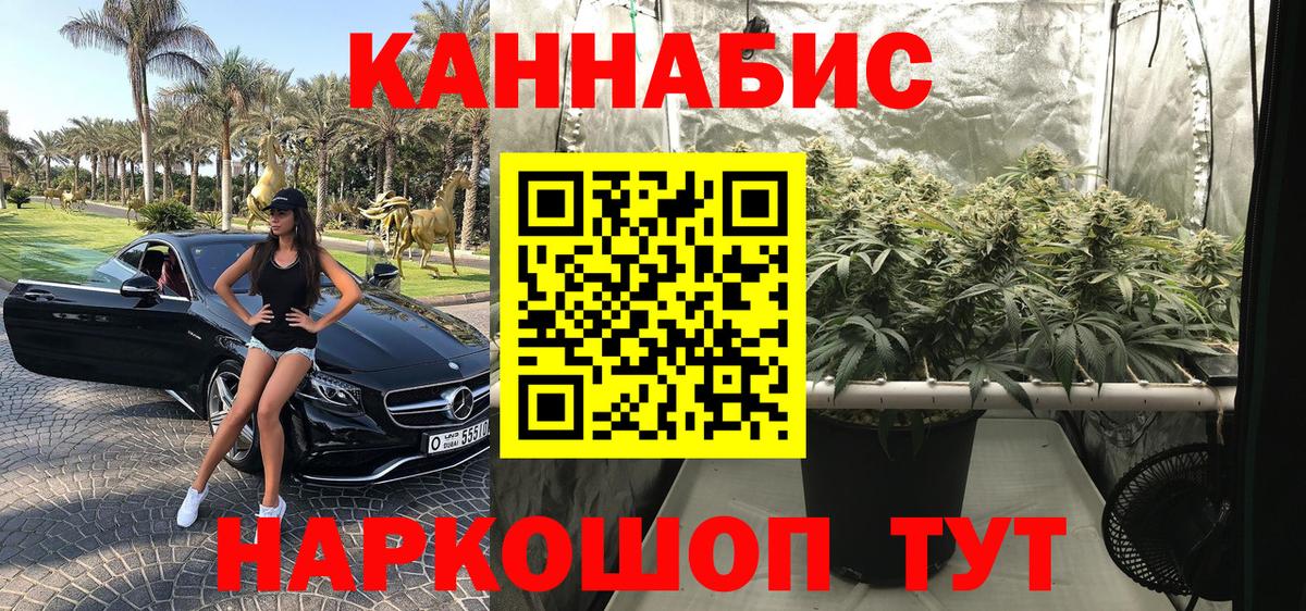 Каннабис сатива  Конопля VHQ  Ковров  Вход с VPN  МАРИХУАНА планчик  Бошки Шишки OG Kush 